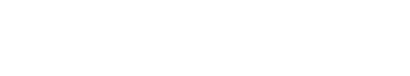 Panini Internazionale